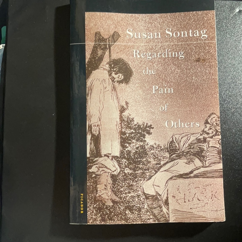 susan sontag regarding the pain of others